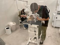 -comecome来吧宠物(奥克斯中心店)