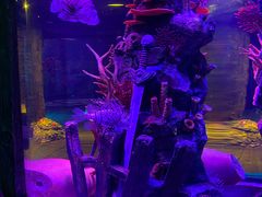 -沈阳海洋探索中心