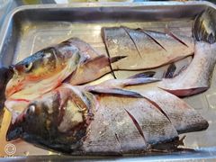 -姥家大锅台水库渔家