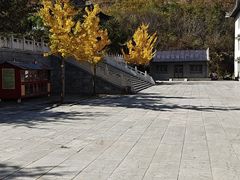 -青龙寺