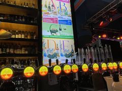 -Famous肥猫墨西哥音乐餐吧(五棵松华熙LIVE店)