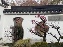 -无锡梅园公园