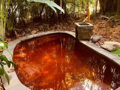 -碧桂园润杨溪谷温泉酒店