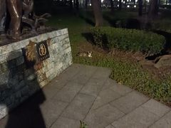 -顺峰山公园
