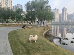 -西北湖绿化广场