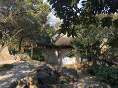 -香雪海