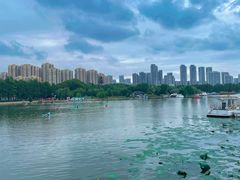 -东湖落雁景区