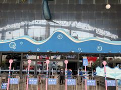 -泉城欧乐堡海洋极地世界