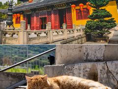 -西园戒幢律寺