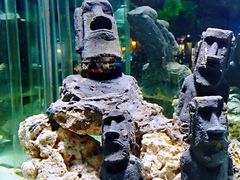 -太平洋海底世界