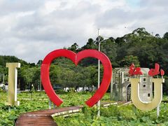 -红山村
