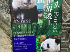 -三联韬奋书店(宽窄巷子店)