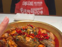 -涿派·炝锅鱼(涿州店)