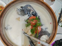 -全乐鱼馆·淳牌有机鱼直营店