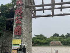 -塘沽森林公园
