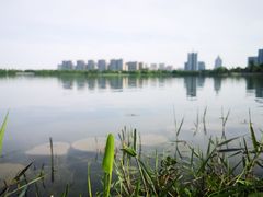 -桐乡凤凰湖
