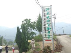 iphone_upload_pic-浙东大峡谷风景区