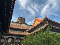 -颐和园