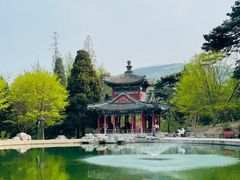 -香山公园