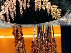 -陈记农家挂炉烤肉(雁南一路店)