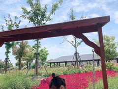 -菊园百果园
