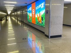 -中国人民解放军总医院