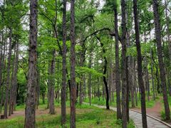 -长春市南湖公园