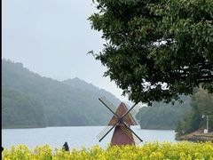 -广州市石门国家森林公园