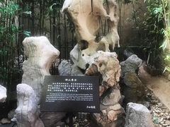 -静园(和平区)
