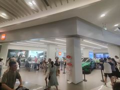 -小米之家汽车(永旺梦乐城店)