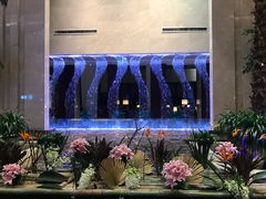 -常州环球恐龙城维景国际大酒店