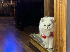 -边渡咖啡烘焙店(昙华林店)