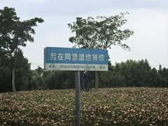 -同里国家湿地公园