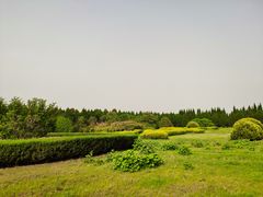 -秦始皇帝陵博物院-丽山园