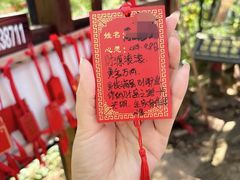 -五女峰国家森林公园