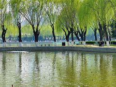 -中国农业博物馆