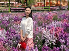 -盈香心动乐园