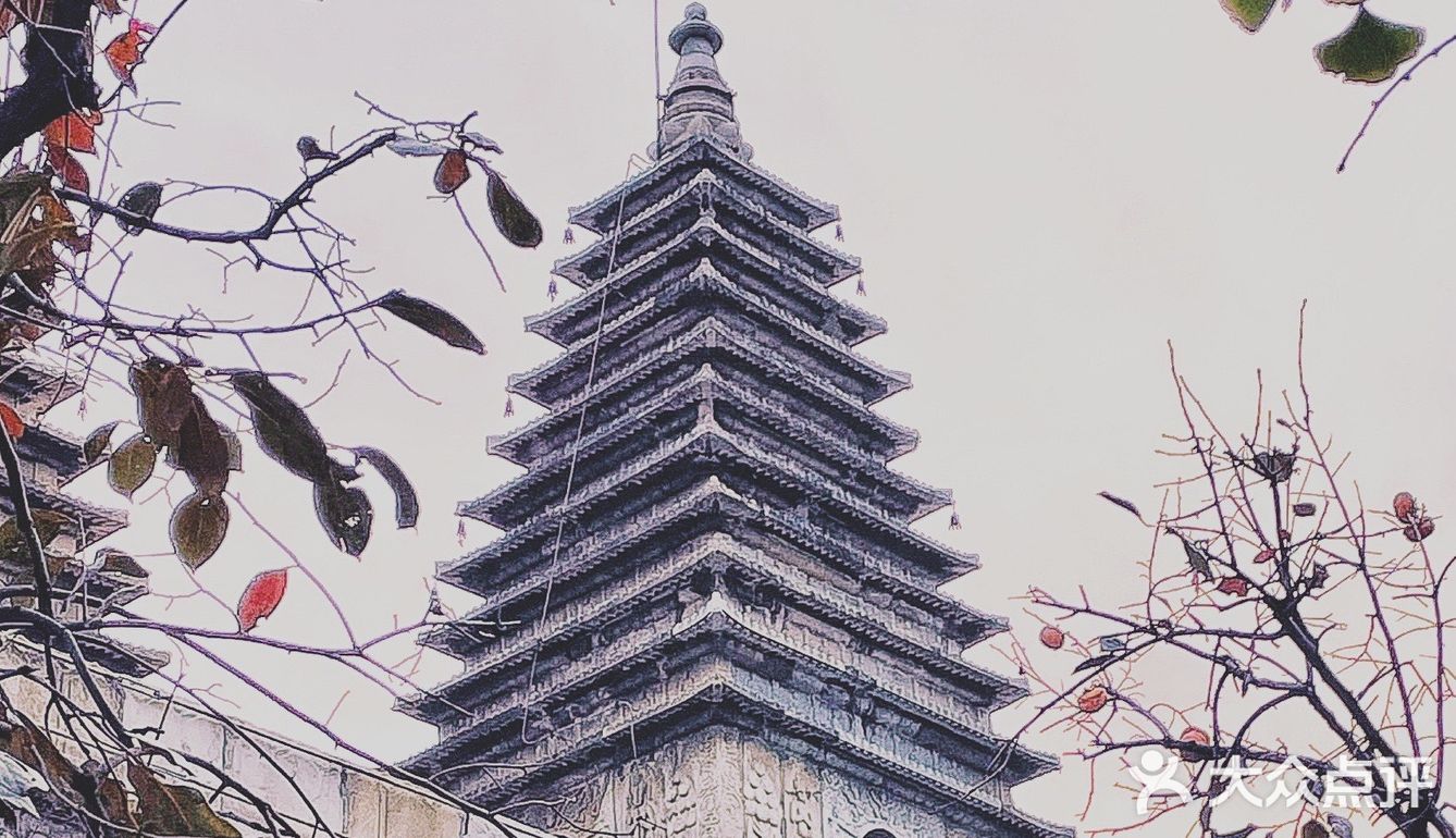 初雪已至，我却仍停留在银杏叶满枝头的秋季