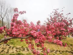 -水西公园