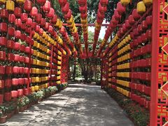 -揭东万竹园旅游景区