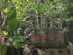 -广州市流溪河国家森林公园