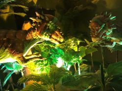 -恐龙探索乐园(磁器口店)