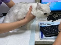 -天宠宠物医院24小时·急重症诊疗中心·全科·腔镜特色(和平分院)