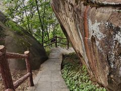 -铁山坪森林公园