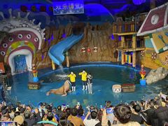 -烟台海昌鲸鲨海洋公园