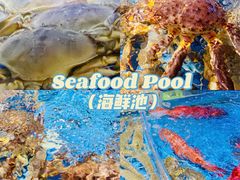 -徐记海鲜(观沙岭|滨江新城店)