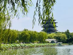 -济南大明湖景区