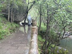 -牛背梁国家森林公园