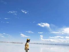 -青海茶卡盐湖文化旅游发展股份有限公司