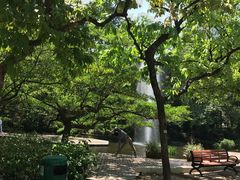 -九龙公园